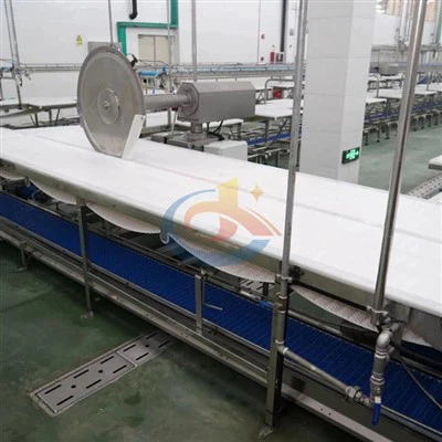 Manufacturer Of Cattle Slaughtering Assembly Line Equipment Manufacturer Of Cattle Slaughtering Assembly Line Equipment